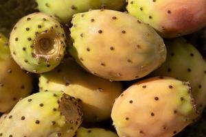 Close up, texture and background of many ripe prickly pear fruits which are green, red and orange next to each other. photo