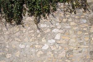 Background and space for text of an old wall made of stones that were placed on top of one another with a mortar. Ivy grows over the wall from above photo