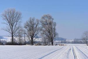 Winter landscape in Bavaria with trees and snow, wide fields covered with snow, in front of a blue sky photo