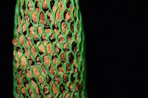 Close-up and detailed view of a feeding station for birds, consisting of different seeds that are fastened in a green plastic net photo