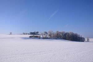 Winter landscape in Bavaria with trees and snow, wide fields covered with snow, in front of a blue sky photo