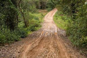 Muddy wet countryside road in Chiang Mai, northern of Thailand. track trail mud road in forest nature rural landscape. brown clay puddle way transport in country photo