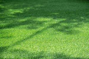 The artificial turf is green and sunny. fall tree shadow, background texture photo
