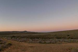 Plants by the dirt road in vast open field on sunset sky background photo