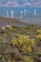 Wind turbines in the distance photo