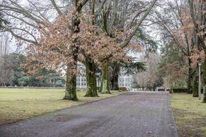 camino con árboles en otoño foto