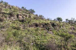 paisaje en highveld, sudáfrica foto