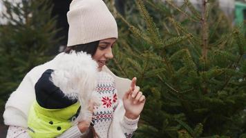 inverno ragazza con poco cane Guarda a pino alberi video