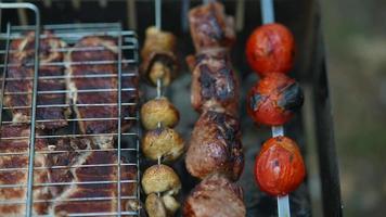Meat and tomatoes and mushrooms on skewers cook on a grill video