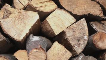 cortes de troncos de madera para pozo de fuego video