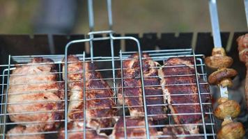 Meat and tomatoes and mushrooms on skewers cook on a grill video