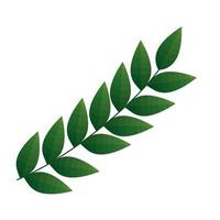 branch with green leafs vector