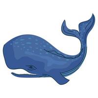 blue wild whale fish vector