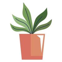 houseplant in orange pot vector