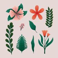 iconos de flores y hojas vector