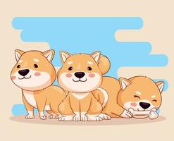 three shiba inu characters vector