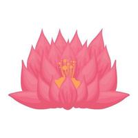 pink lotus flower vector