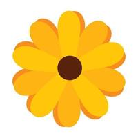 beautiful yellow sunflower vector