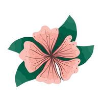 pink flower and leafs vector