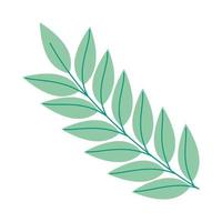 leaves in green branch vector