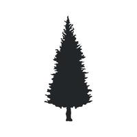 pine tree coniferus silhouette vector