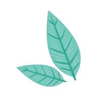 two leafs nature vector