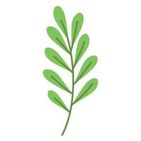 rama de ecología con hojas vector