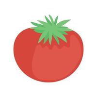 fresh red tomato vector