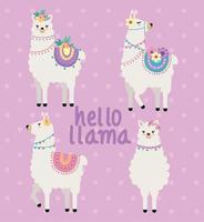 hello llama with animals vector