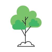 green tree forest plant vector