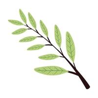 rama verde con follaje de hojas vector