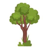 tree plant and bush vector