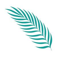 tropical leaf palm vector