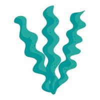 seaweed algae nature icon vector