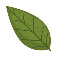 leaf plant green foliage vector