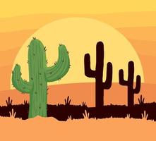 cactus in desert vector