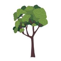 green tree plant vector