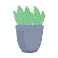 houseplant with gray pot vector