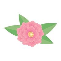 leafs and pink flower vector