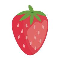 fresh strawberry fruit vector