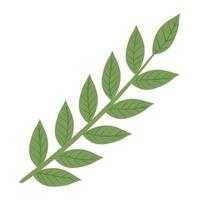 branch with leaves foliage vector