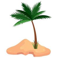 sand beach and palm vector