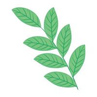 branch with leafs vector