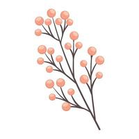 branch with pink seeds vector