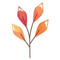 autumn branch with leafs seasonal vector