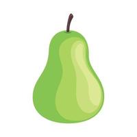 green pear fruit vector