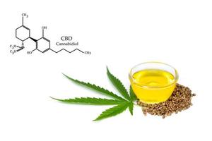 tazón con aceite de cáñamo, hojas y semillas sobre fondo blanco, aceite de cáñamo cbd. fórmula química cbd, aceite de cannabis, concepto de hierba médica. fórmula química estructural molecular de cannabidiol o cbd. foto