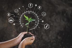 Hand holding seedlings with environment icons over the Network connection on nature background, Technology ecology concept. photo