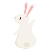 little rabbit animal vector