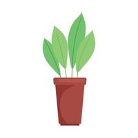 houseplant in red pot vector